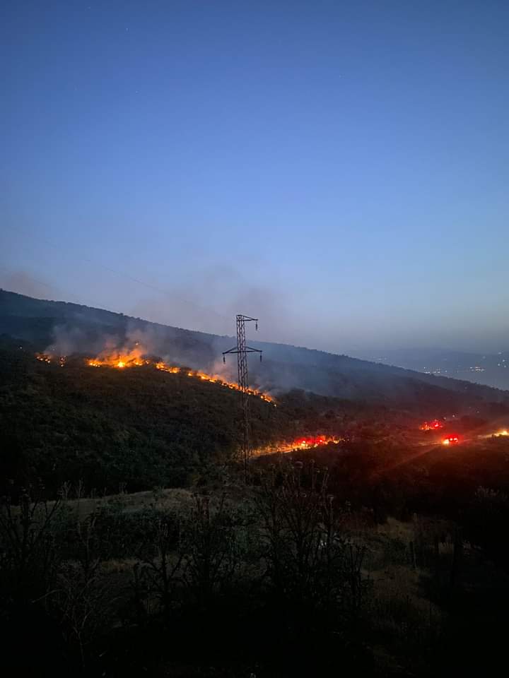 Alaşehir yangın 