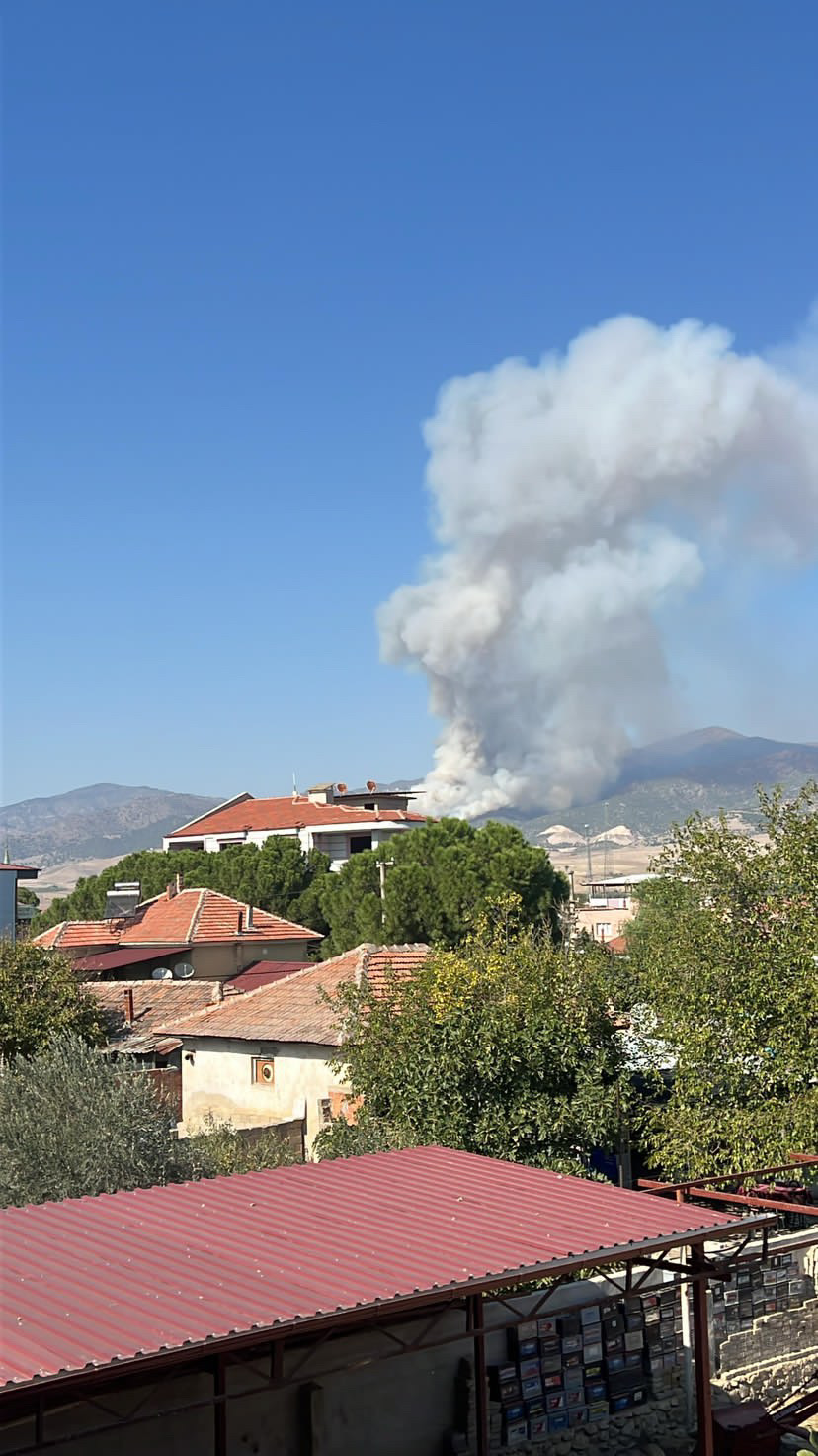 Alaşehir orman yangını 